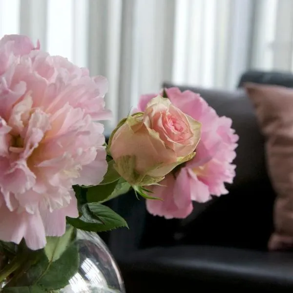 Faupel Ferienwohnung, hotel a Mülverstedt