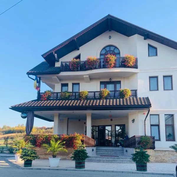 모네아사에 위치한 호텔 Pensiune Premier