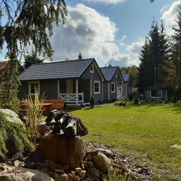 Domki w Dolinie Wieżycy, hotel in Szymbark