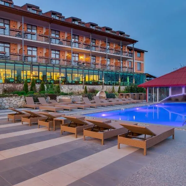 Savaneti Eco Hotel, hotel v destinaci Telavi