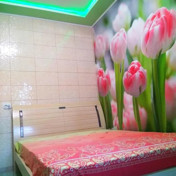 Апартаменты стадион Металист tulips, hotel di Zaykin