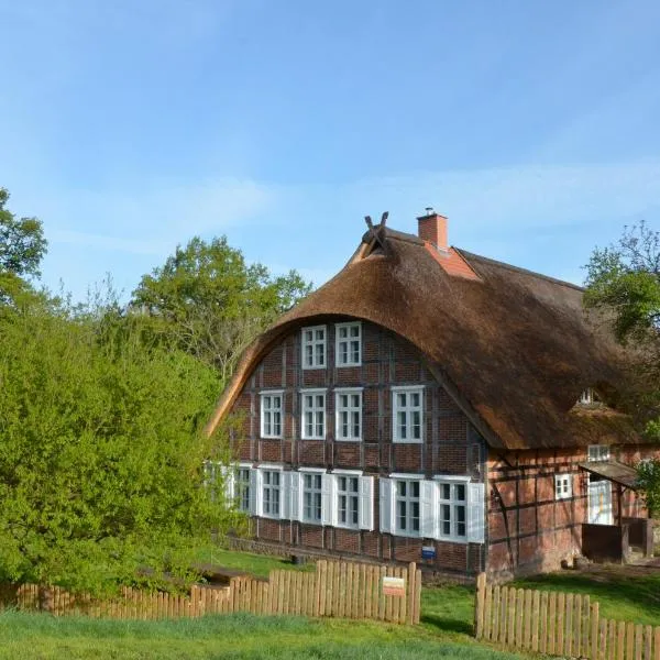 Deichkind - Reetdachhaus direkt am Elbdeich, hotel in Grittel