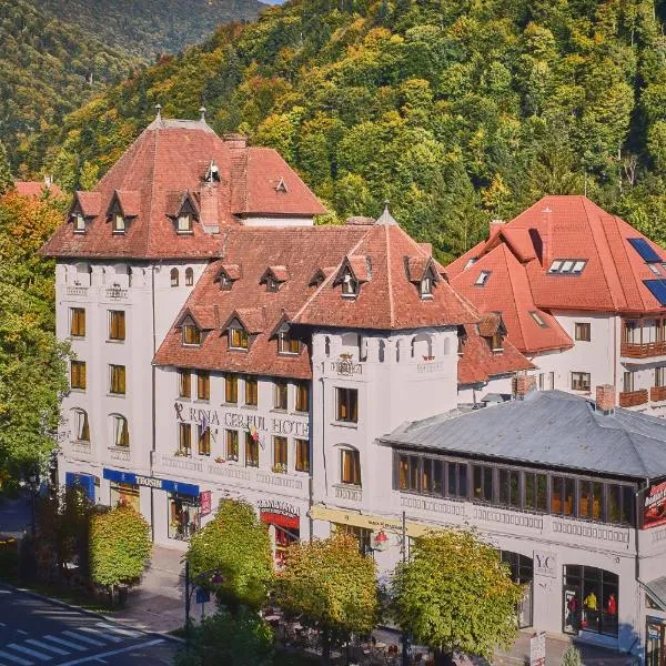 Hotel Rina Cerbul, hotel di Sinaia