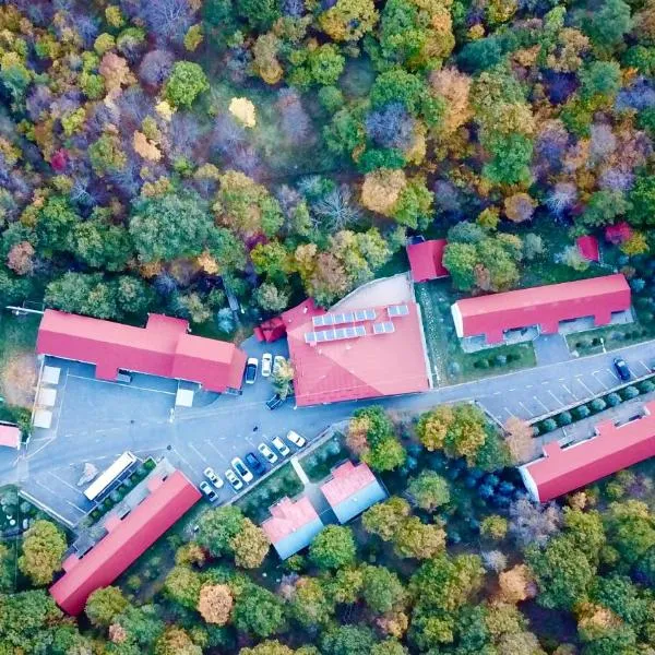 Alva Hotel & Spa, hotel v destinaci Cachkadzor