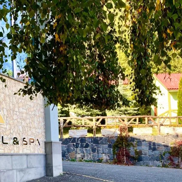 차그카조르에 위치한 호텔 Alva Hotel & Spa