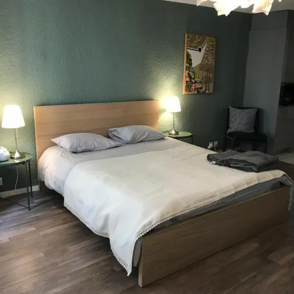 Studio SIEVA, hotel in Lausanne