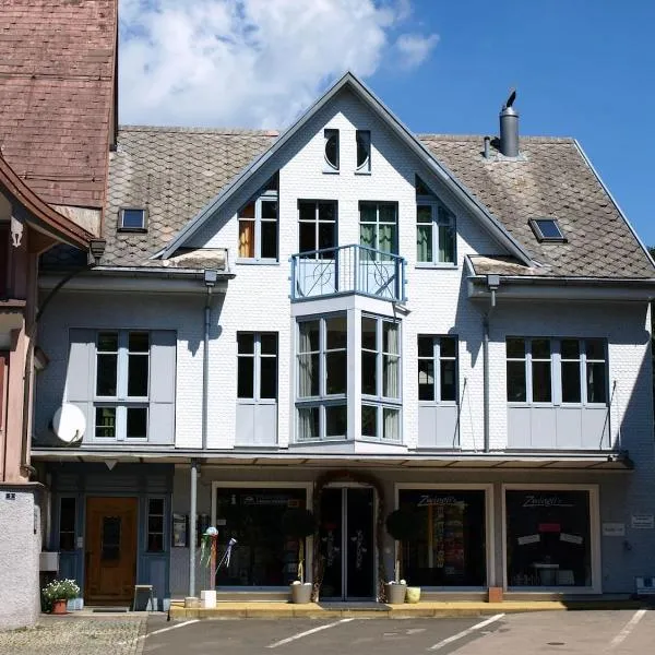 Zwinglis Ferienwohnung, Hotel in Nesslau