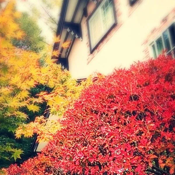 Pension Candytuft, hotel in Karuizawa