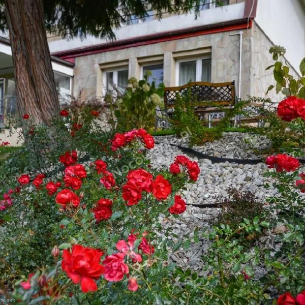 Dom Wczasowy Sokolica, khách sạn ở Krynica Zdrój