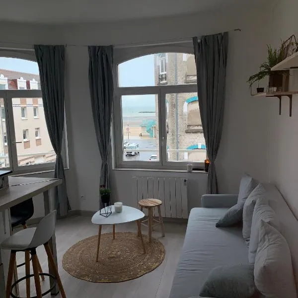 Appartement vue mer poste bleu, hôtel à Malo-les-Bains