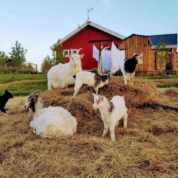 Skálatjörn Guesthouse, hotel u gradu 'Vatnsholt'