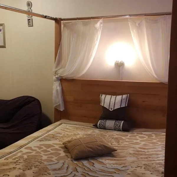 Cozy apartments near the McDonalds, hotelli kohteessa Krementšuk