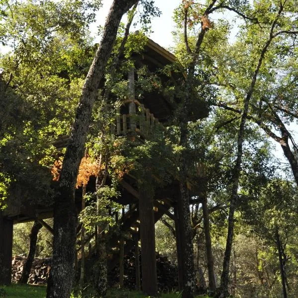 Los Nidos De Santa Maria, hotel a Coto Ríos