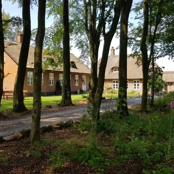 Agerfeld gl. skole, hotel di Holstebro