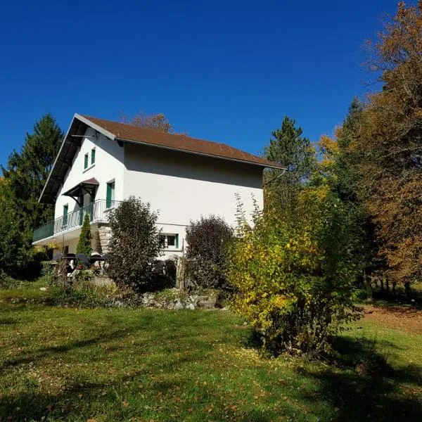 Gîte grande capacité au calme circuit Cascades du Hérisson, hôtel à Bonlieu