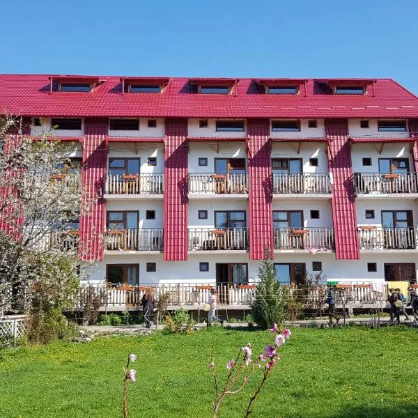 Vila Dracula, hotel in Căpăţîneni-Pămînteni