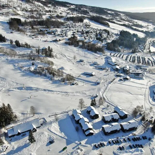 Hafjell Alpinlandsby Pluss, hotel in Hafjell