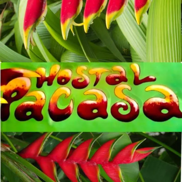 PaCasa Hostel, hotel a David