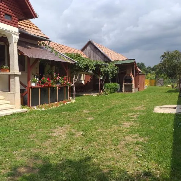 Casa Argentina, hotel din Cârţişoara