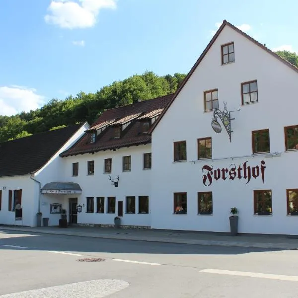 Land-gut-Hotel Forsthof, hotel in Ursensollen