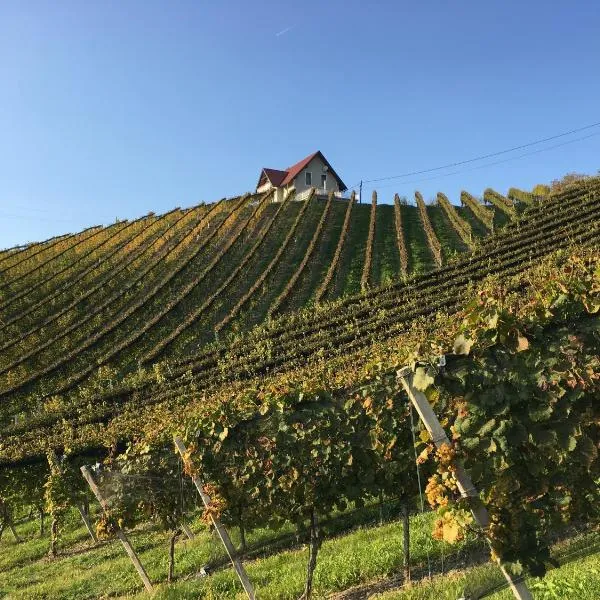 Weingartenhaus, hotelli kohteessa Leutschach