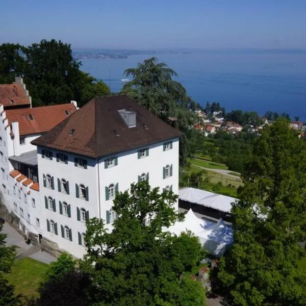 Schloss Wartensee、ロルシャッハーベルクのホテル