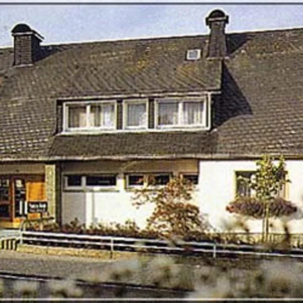 Pension Braun, hotel v destinaci Winterberg