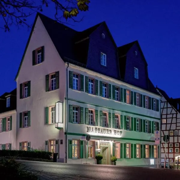 Hotel Nassauer Hof, hotel in Villmar