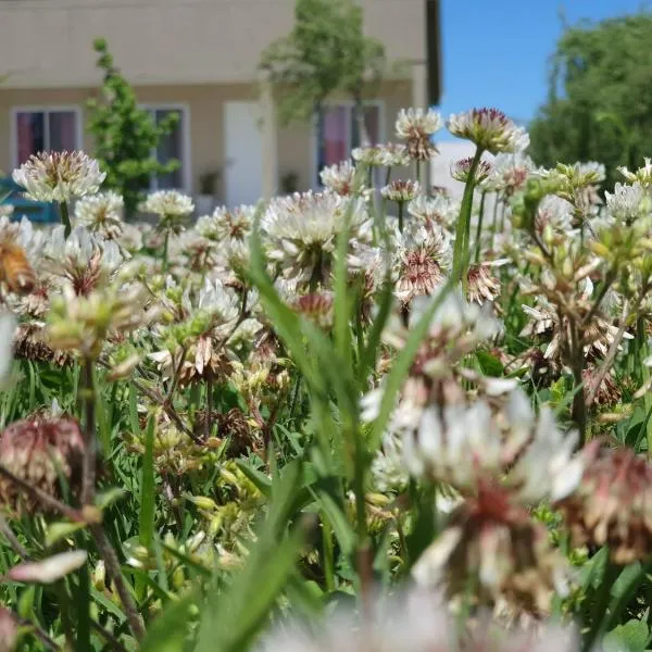 Rincón del Alma, hotel em Saladillo