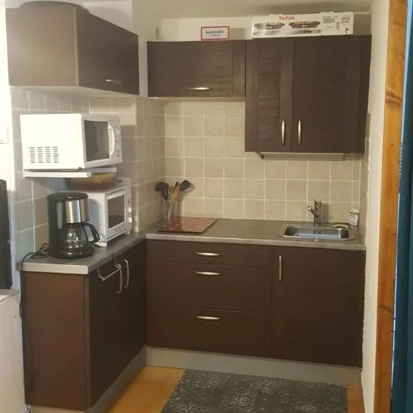 Appartement T2 avec son rez de jardin de 40 m2 5 couchages 250m de la plage et 15km de l'Arena, מלון בנרבון-פלאז'