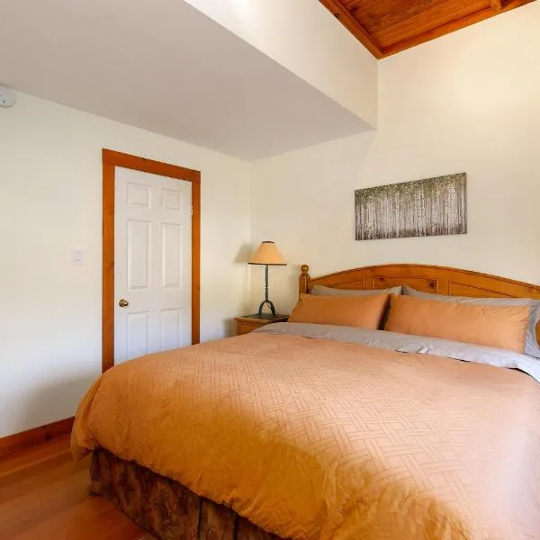 Pemberton Valley 1 bedroom suite king size bed WIFI cable TV gorgeous views free parking walk to Village, hotel in Pemberton