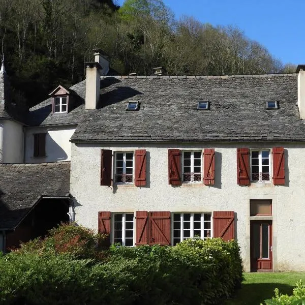 Gite Chaneü, hotel in Lourdios-Ichère