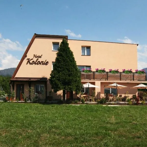 Hotel Kolonie, hotell i Frýdlant nad Ostravicí