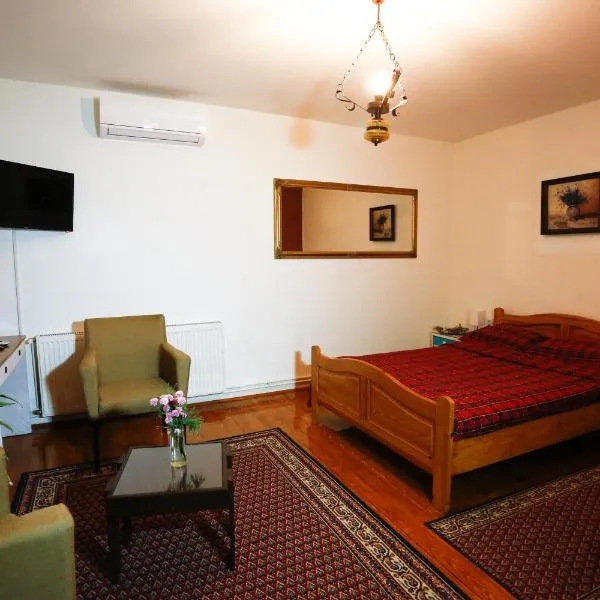 Apartman Carpe Diem, hotel in Zaječar