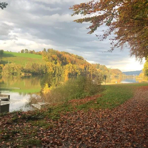 Charming Studio near Rotsee Lucerne Kitchen/WiFi/Wasching machine, hotel v destinaci Luzern
