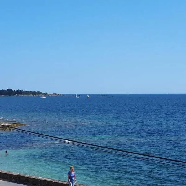 Studio face à la mer, hotel u gradu Konkarne