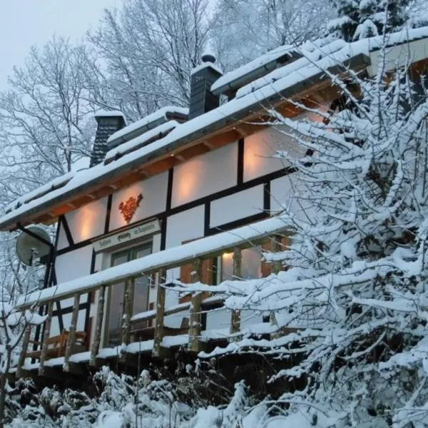 Jagthaus am Rappelstein, khách sạn ở Schmallenberg