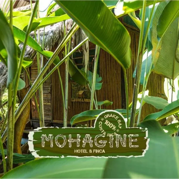 Mohagine Hotel, hotell i Rancho Quemado