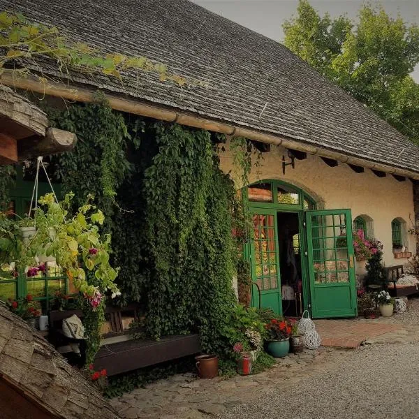Domy Konesera, hotel v destinaci Trzcin