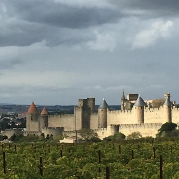Les Orchidées, hotel v Carcassonne