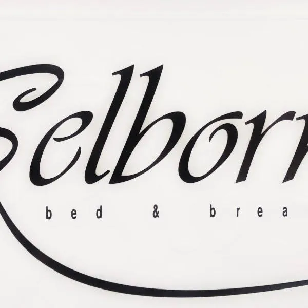 Selborne Bed and Breakfast，Buffalo的飯店