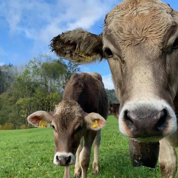 Alpenländischer Chalet-Chic, hotel a Oberstdorf