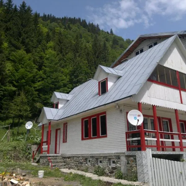 Cabana Dara, hotel v destinaci Cumpăna