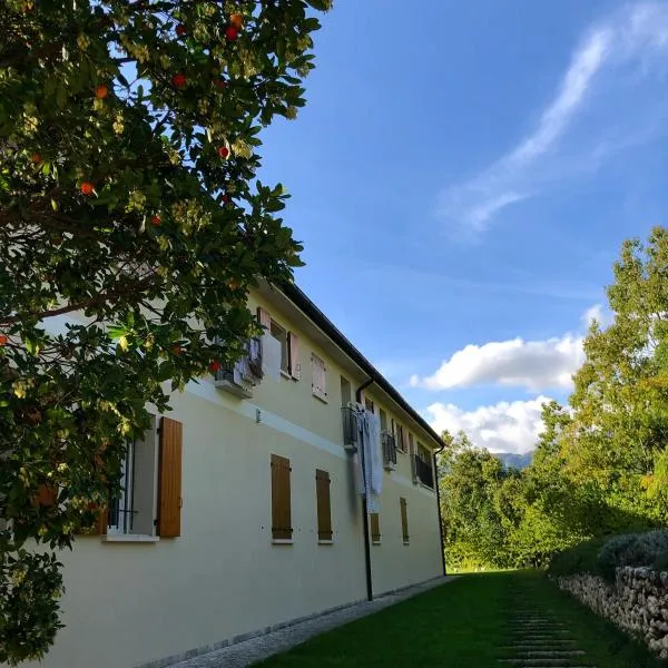 BeeHouse - La Casa delle Api Agriturismo、ボルソ・デル・グラッパのホテル