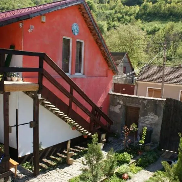 Pensiunea Casa montana, hotel en Sasca Montană