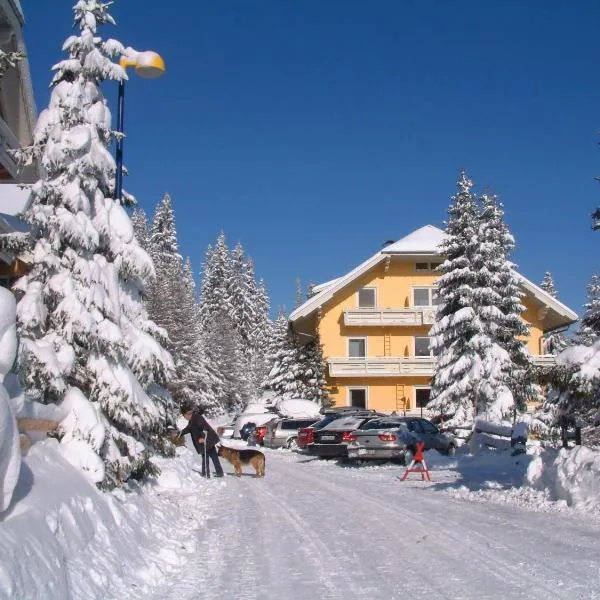 Appartement Aigner, hotel v destinaci Katschberghöhe