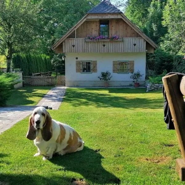 Vila Jana, hotell i Radovljica