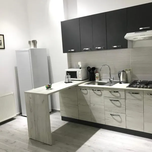 Apartment suite Mukachevo, hotel in Mukacheve
