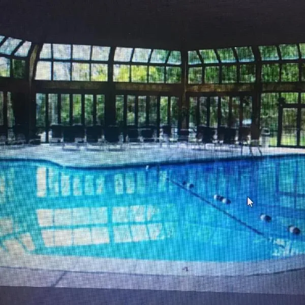 106 Village at Camelback, hotel in Tannersville