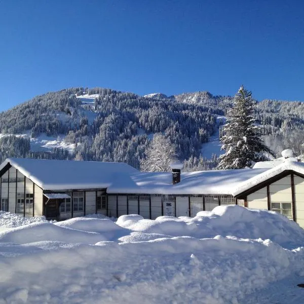 Mountain Lodge Backpackercamp, hotel u gradu 'Lenk'